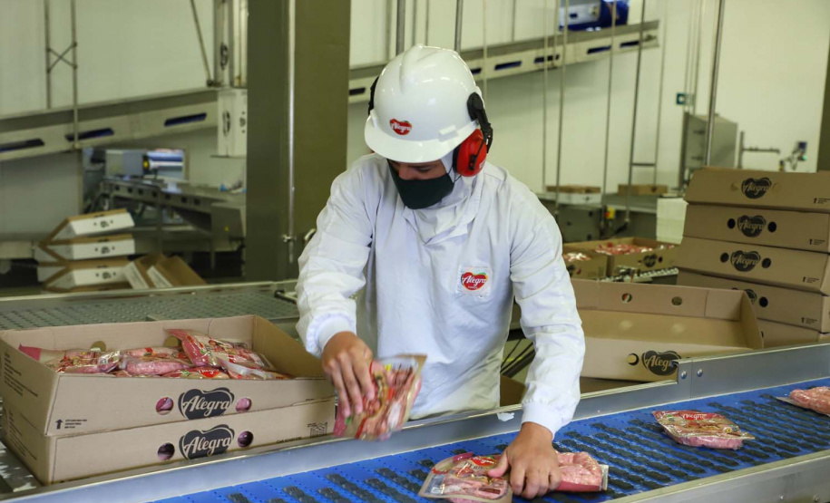 Com sede em Castro, a Alegra abate 3200 suínos por dia e produz cerca de 140 toneladas de produtos diariamente, o que leva a uma média mensal de 3300 toneladas de carnes industrializadas por mês.
