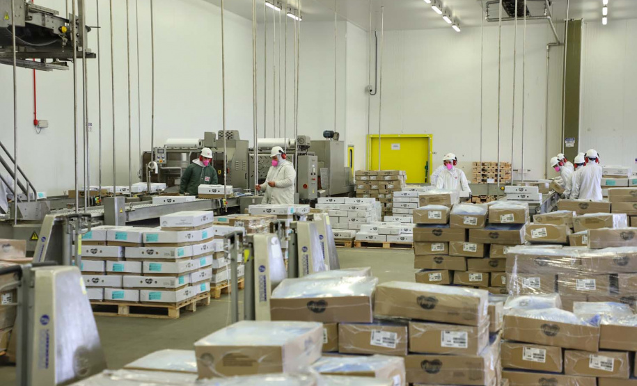 Com sede em Castro, a Alegra abate 3200 suínos por dia e produz cerca de 140 toneladas de produtos diariamente, o que leva a uma média mensal de 3300 toneladas de carnes industrializadas por mês.