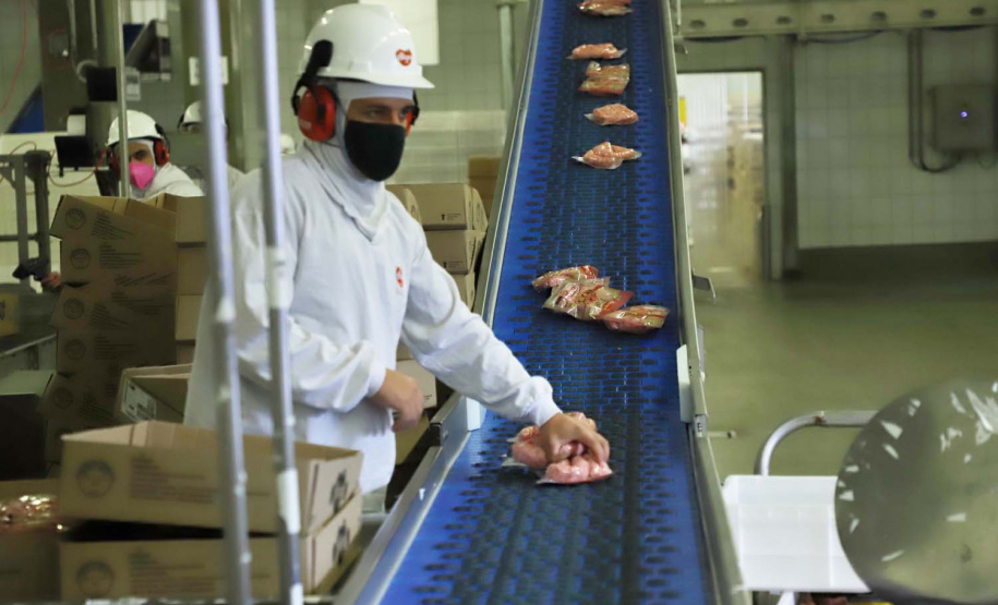 Com sede em Castro, a Alegra abate 3200 suínos por dia e produz cerca de 140 toneladas de produtos diariamente, o que leva a uma média mensal de 3300 toneladas de carnes industrializadas por mês.