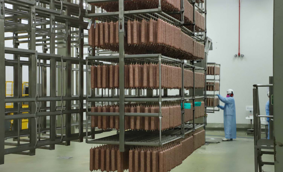 Com sede em Castro, a Alegra abate 3200 suínos por dia e produz cerca de 140 toneladas de produtos diariamente, o que leva a uma média mensal de 3300 toneladas de carnes industrializadas por mês.