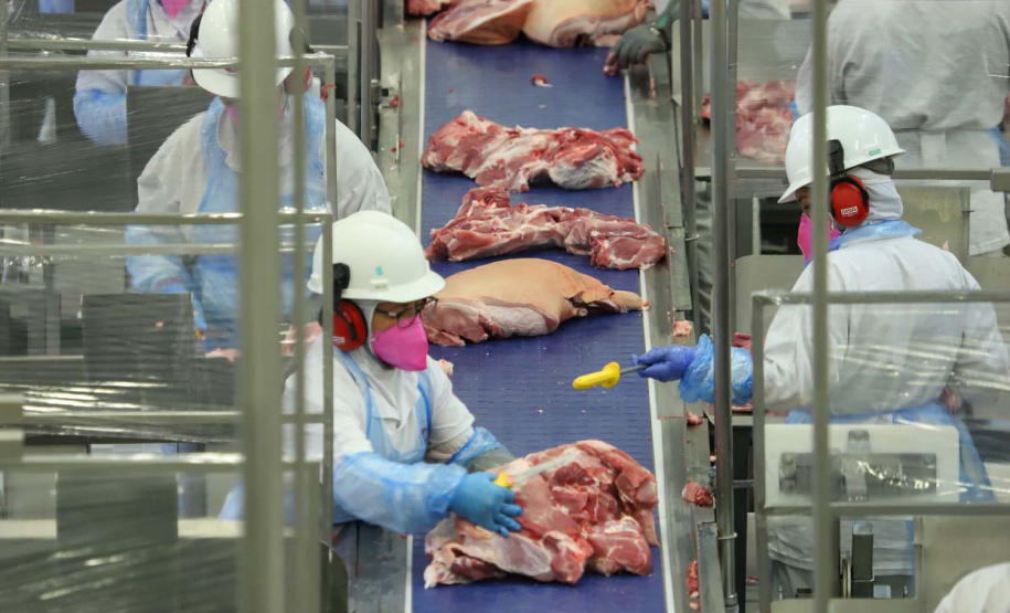 Com sede em Castro, a Alegra abate 3200 suínos por dia e produz cerca de 140 toneladas de produtos diariamente, o que leva a uma média mensal de 3300 toneladas de carnes industrializadas por mês.