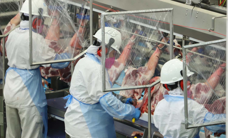 Com sede em Castro, a Alegra abate 3200 suínos por dia e produz cerca de 140 toneladas de produtos diariamente, o que leva a uma média mensal de 3300 toneladas de carnes industrializadas por mês.