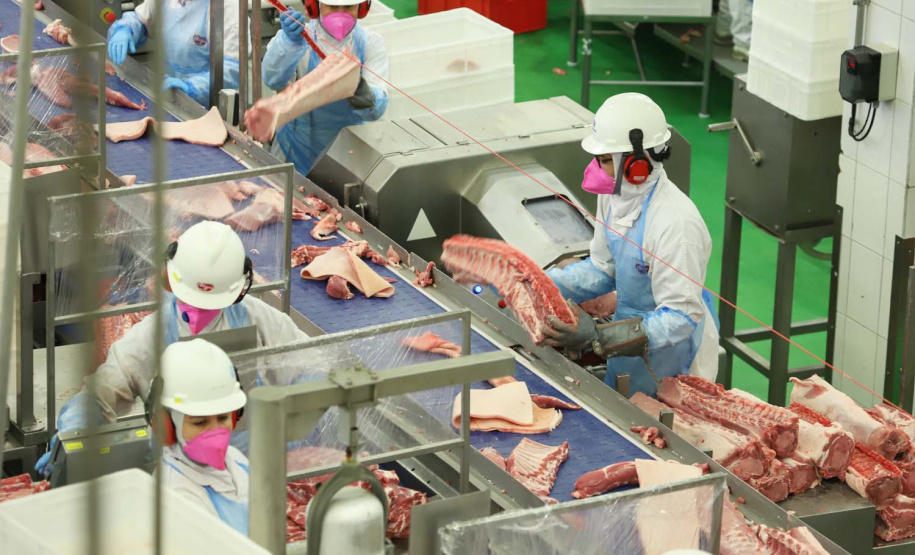 Com sede em Castro, a Alegra abate 3200 suínos por dia e produz cerca de 140 toneladas de produtos diariamente, o que leva a uma média mensal de 3300 toneladas de carnes industrializadas por mês.