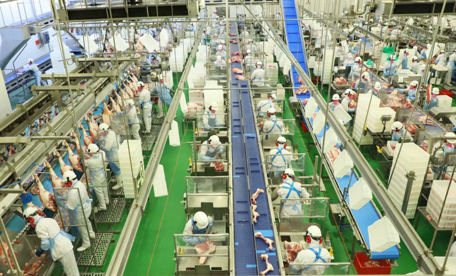 Com sede em Castro, a Alegra abate 3200 suínos por dia e produz cerca de 140 toneladas de produtos diariamente, o que leva a uma média mensal de 3300 toneladas de carnes industrializadas por mês.