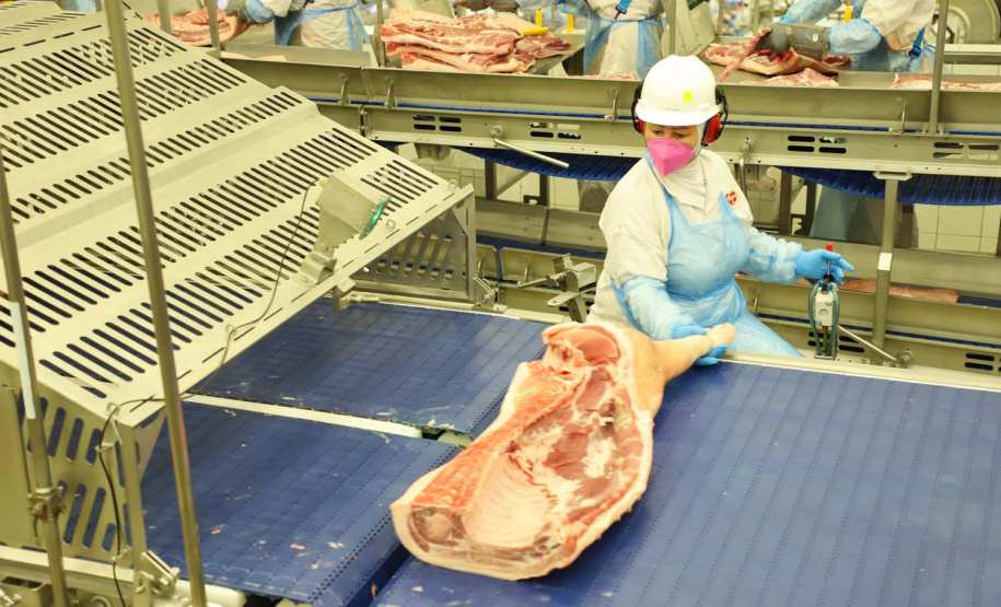 Com sede em Castro, a Alegra abate 3200 suínos por dia e produz cerca de 140 toneladas de produtos diariamente, o que leva a uma média mensal de 3300 toneladas de carnes industrializadas por mês.