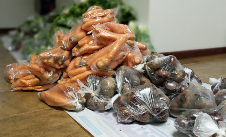 O Instituto Paranaense de Desenvolvimento Educacional (Fundepar) abre nesta sexta-feira (20) o Sistema Eletrônico Merenda para submissão de propostas da chamada pública para que associações e cooperativas da agricultura família inscrevam projetos de venda de gêneros alimentícios para o Programa Nacional de Alimentação Escolar (PNAE), em 2021. A previsão de investimento para essa contratação chega a R$ 75 milhões. Foto:Foto: Marcelo Agenciano de Freitas/IDR - Arquivo AEN