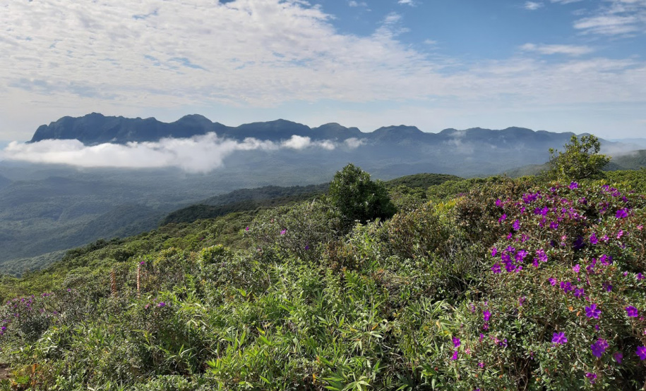 Comec publica mapa com as unidades de interesse de proteção na RMC
. Foto:SEDEST