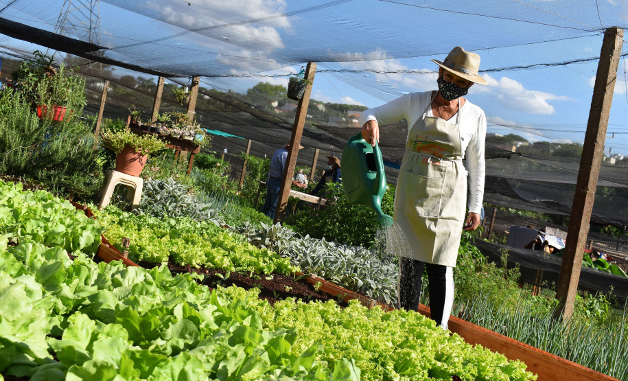 Cultivar Energia doa materiais para horta em Maringá. Foto: Copel