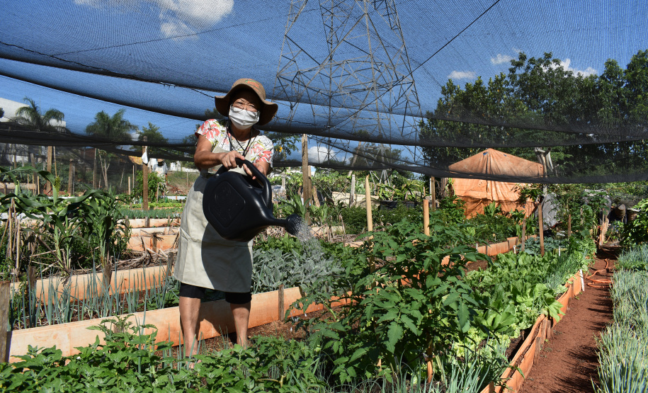Cultivar Energia doa materiais para horta em Maringá. Foto: Copel
