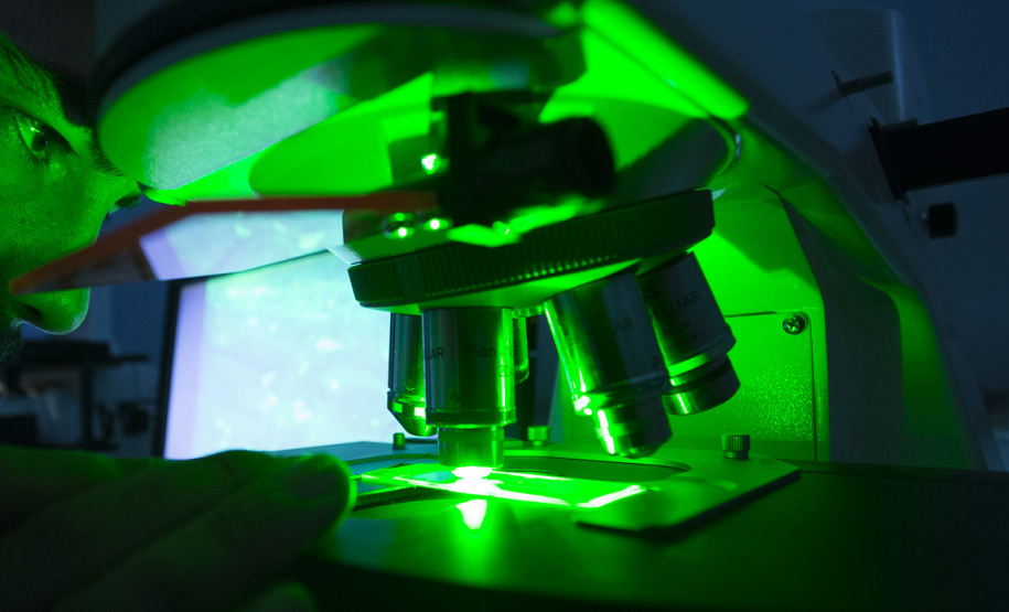 17 pesquisadores das Universidades Estaduais estão entre os melhores do mundo na área das Ciências Biológicas. Foto:SETI