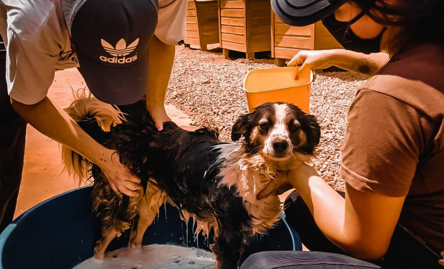 Instituições já receberam mais de R$ 212 milhões do Nota Paraná
. Foto:SEFA