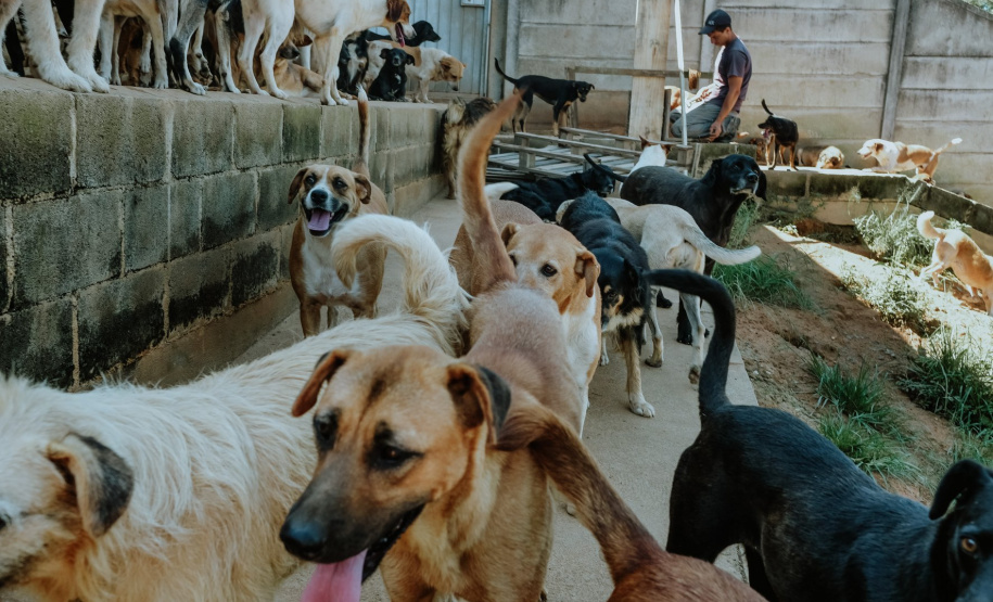 Instituições já receberam mais de R$ 212 milhões do Nota Paraná
. Foto:SEFA