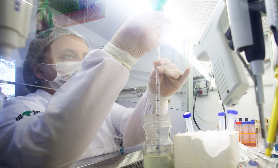 Nova Lei de Inovação fomenta desenvolvimento em áreas estratégicas do Estado . Foto: Jaelson Lucas/Arquivo AEN