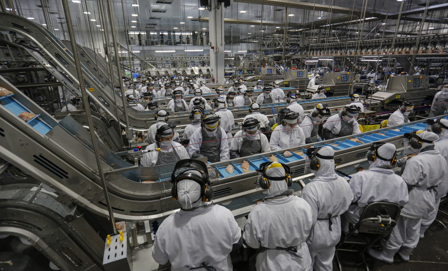 O Paraná abriu 33.008 vagas de trabalho em outubro, terceiro melhor resultado do País em carteiras assinadas. É o quinto mês seguido de alta nas contratações, espantando os efeitos mais severos da pandemia, o que gerou um saldo acumulado de 33.615 novos empregos no ano, segundo melhor indicador do Brasil.  - Foto : Jonathan Campos / AEN