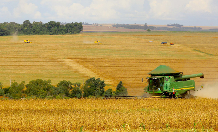 Paraná deve produzir 24 milhões de toneladas na safra de verão. Foto: Jaelson Lucas/Arquivo/AEN