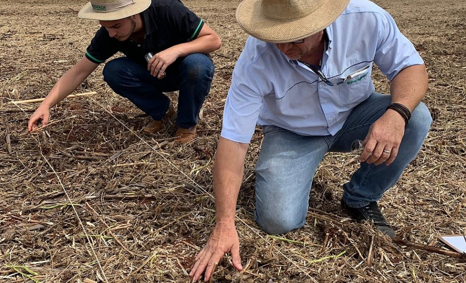 O concurso premia os operadores de máquinas que foram mais eficientes no seu trabalho
Foto: IDR