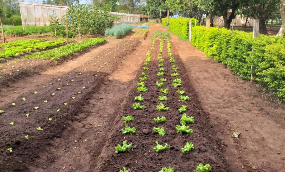 UEM desenvolve ação para ressocialização de pessoas em situação vulnerabilidade social. Foto:UEM