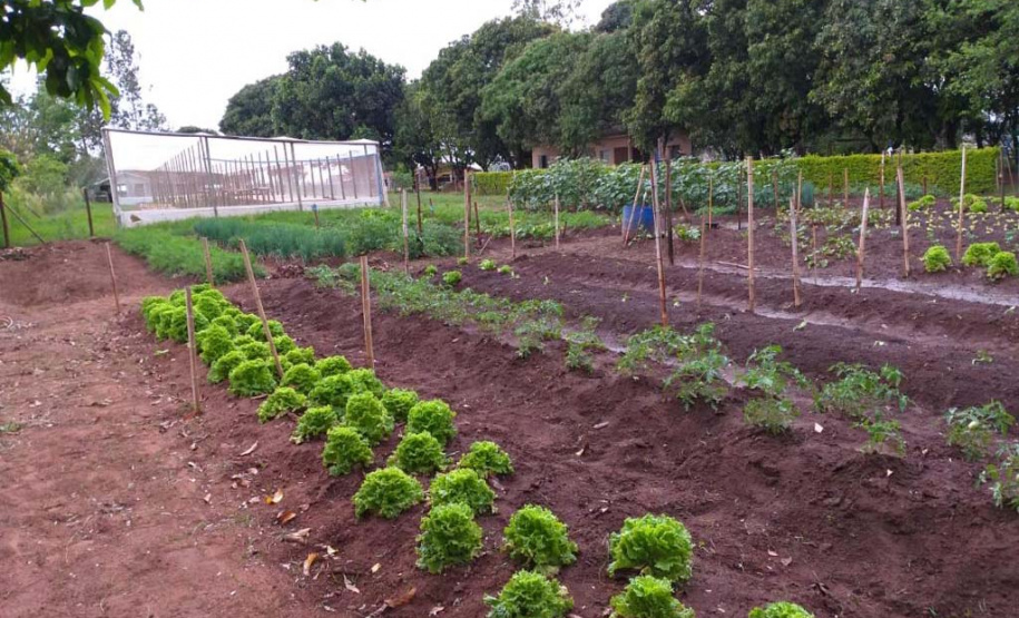 UEM desenvolve ação para ressocialização de pessoas em situação vulnerabilidade social. Foto:UEM
