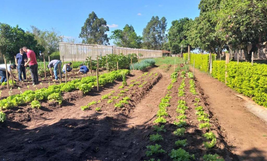 UEM desenvolve ação para ressocialização de pessoas em situação vulnerabilidade social. Foto:UEM