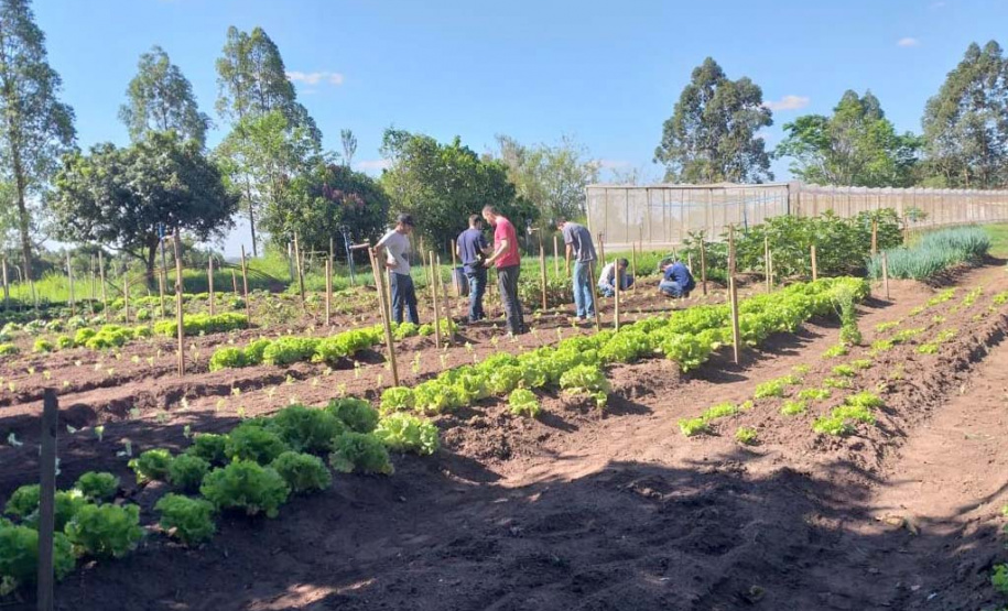 UEM desenvolve ação para ressocialização de pessoas em situação vulnerabilidade social. Foto:UEM