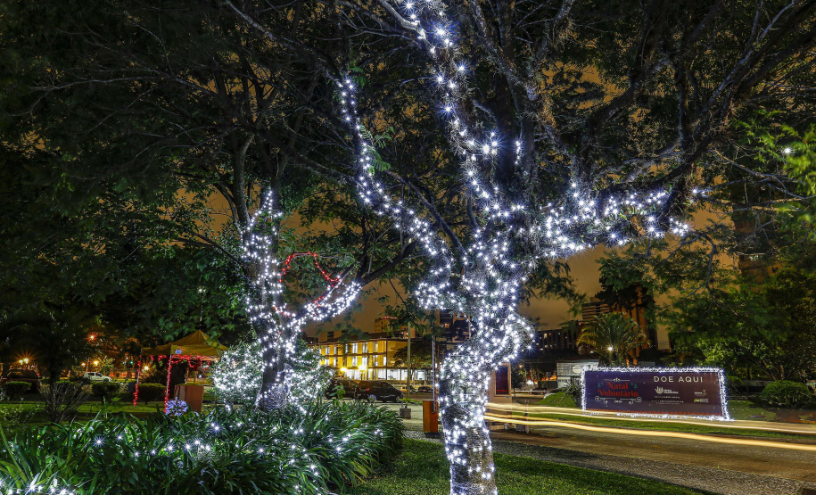 Foto: Jonathan Campos/AEN