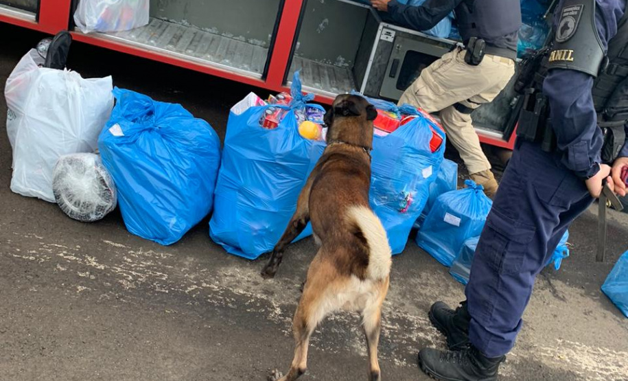 Mais de 500 pessoas são presas e 7 toneladas de maconha e 68 armas apreendidas nas duas etapas da Operação Sinergia. Foto:SESP