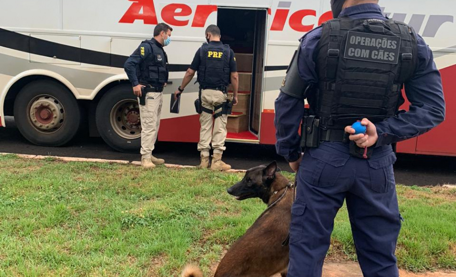Mais de 500 pessoas são presas e 7 toneladas de maconha e 68 armas apreendidas nas duas etapas da Operação Sinergia. Foto:SESP