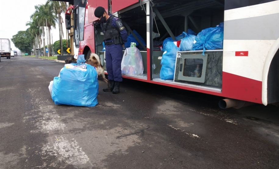 Mais de 500 pessoas são presas e 7 toneladas de maconha e 68 armas apreendidas nas duas etapas da Operação Sinergia. Foto:SESP