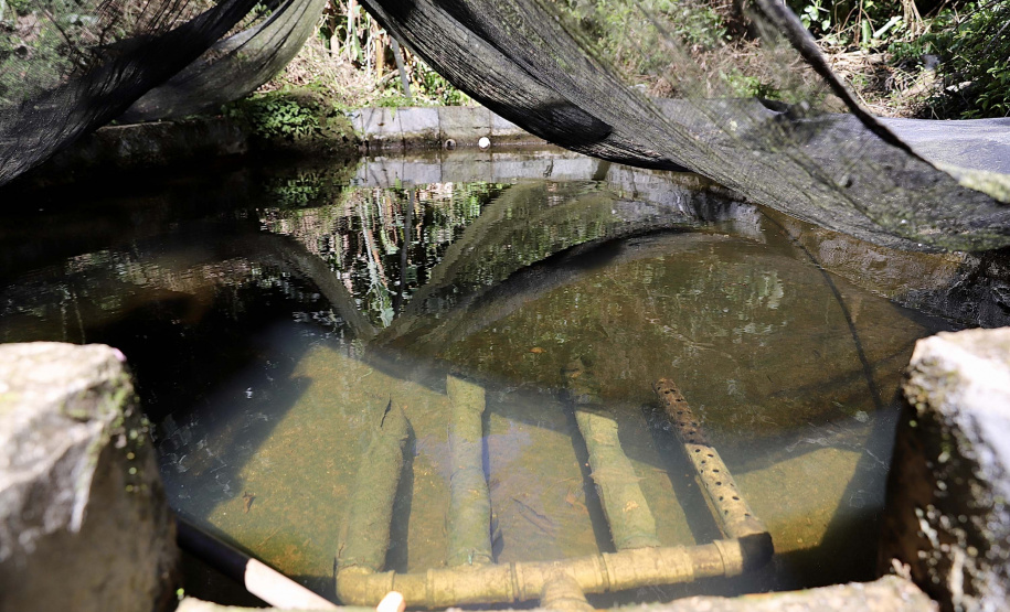 Portos do Paraná apoia gestão da água nas comunidades caiçaras da baia de Paranaguá.