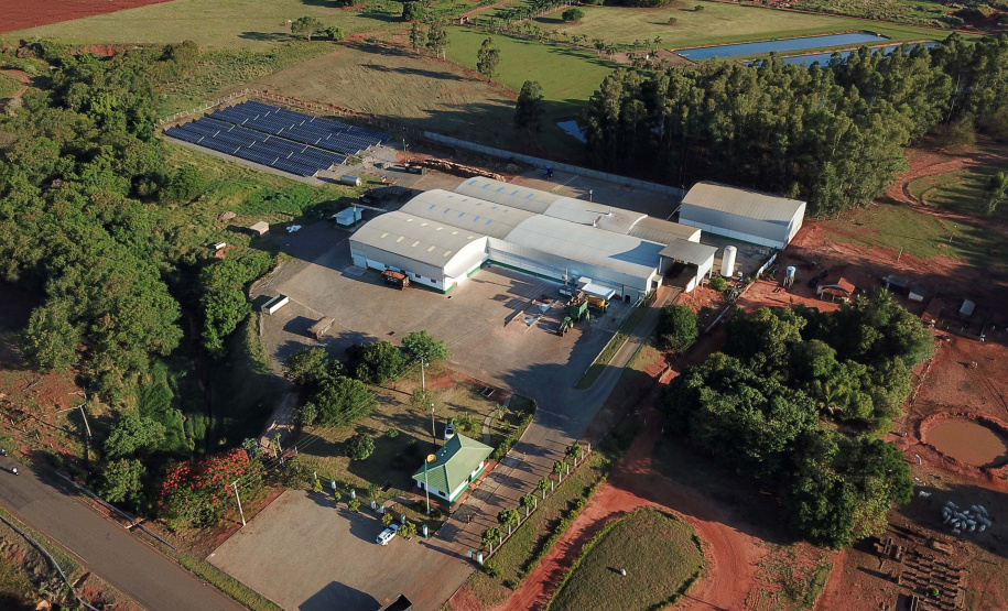 Em Terra Rica está instalada a Farinheira Roders, empresa de origem catarinense que desde 1997 se instalou no paraná para produção de farinha de mandioca. De acordo com Vilmar Roders, proprietário da empresa, são feitas mil toneladas de farinha por mês, sendo que 60% deste volume é destinado à exportação. Foto: José Fernando Ogura/AEN
