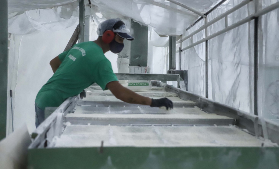 Em Terra Rica está instalada a Farinheira Roders, empresa de origem catarinense que desde 1997 se instalou no paraná para produção de farinha de mandioca. De acordo com Vilmar Roders, proprietário da empresa, são feitas mil toneladas de farinha por mês, sendo que 60% deste volume é destinado à exportação. Foto: José Fernando Ogura/AEN