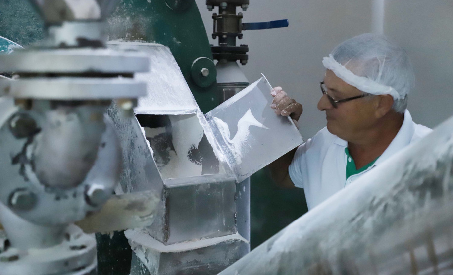 Em Terra Rica está instalada a Farinheira Roders, empresa de origem catarinense que desde 1997 se instalou no paraná para produção de farinha de mandioca. De acordo com Vilmar Roders, proprietário da empresa, são feitas mil toneladas de farinha por mês, sendo que 60% deste volume é destinado à exportação. Foto: José Fernando Ogura/AEN