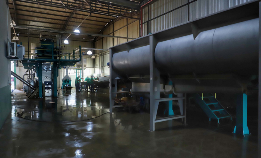 Em Terra Rica está instalada a Farinheira Roders, empresa de origem catarinense que desde 1997 se instalou no paraná para produção de farinha de mandioca. De acordo com Vilmar Roders, proprietário da empresa, são feitas mil toneladas de farinha por mês, sendo que 60% deste volume é destinado à exportação. Foto: José Fernando Ogura/AEN