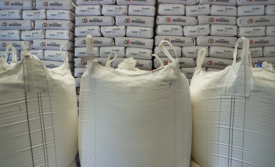 A Amidos Bankhardt, localizada em Paranavaí, existe há 15 anos e produz fécula de mandioca. São 50 funcionários e produção mensal de 1,25 toneladas, sendo que a maior parte é destinada a outras indústrias de transformação. Foto: José Fernando Ogura/AEN