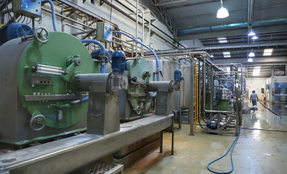 A Amidos Bankhardt, localizada em Paranavaí, existe há 15 anos e produz fécula de mandioca. São 50 funcionários e produção mensal de 1,25 toneladas, sendo que a maior parte é destinada a outras indústrias de transformação. Foto: José Fernando Ogura/AEN