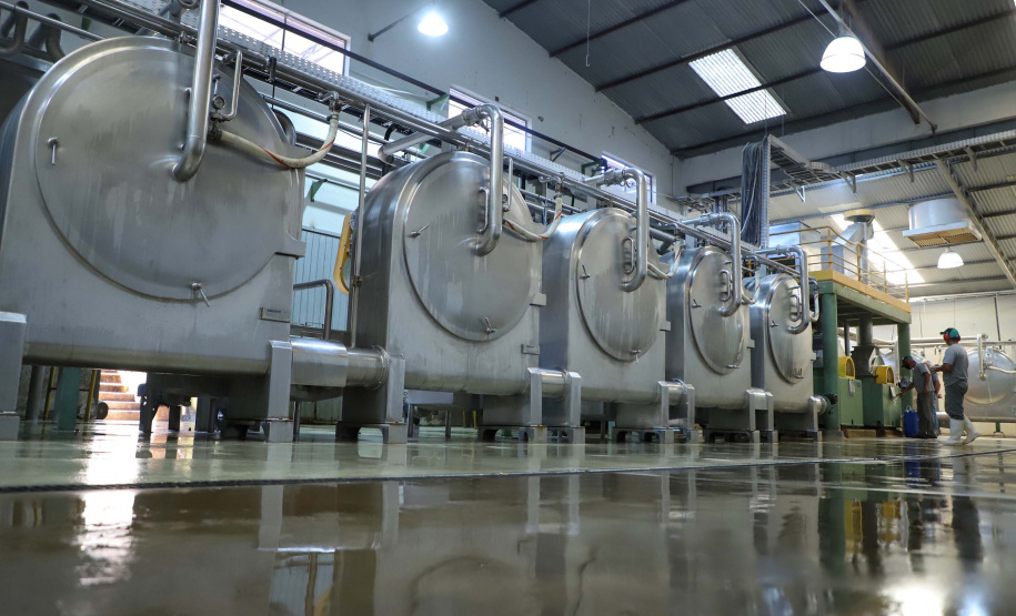 A Amidos Bankhardt, localizada em Paranavaí, existe há 15 anos e produz fécula de mandioca. São 50 funcionários e produção mensal de 1,25 toneladas, sendo que a maior parte é destinada a outras indústrias de transformação. Foto: José Fernando Ogura/AEN