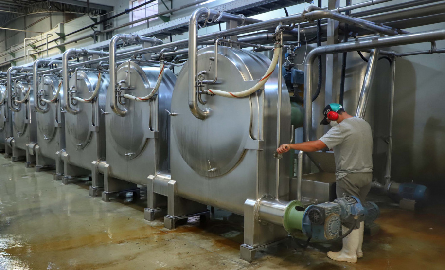 A Amidos Bankhardt, localizada em Paranavaí, existe há 15 anos e produz fécula de mandioca. São 50 funcionários e produção mensal de 1,25 toneladas, sendo que a maior parte é destinada a outras indústrias de transformação. Foto: José Fernando Ogura/AEN