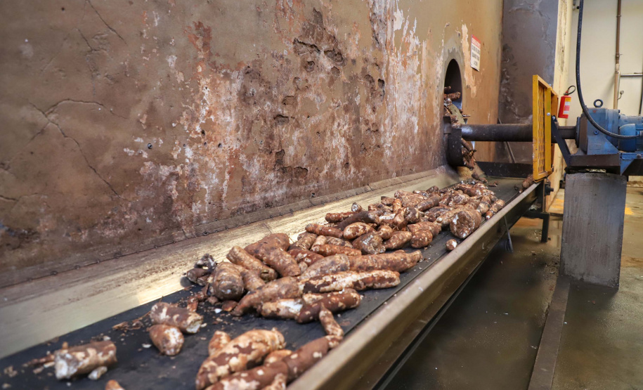 A Amidos Bankhardt, localizada em Paranavaí, existe há 15 anos e produz fécula de mandioca. São 50 funcionários e produção mensal de 1,25 toneladas, sendo que a maior parte é destinada a outras indústrias de transformação. Foto: José Fernando Ogura/AEN