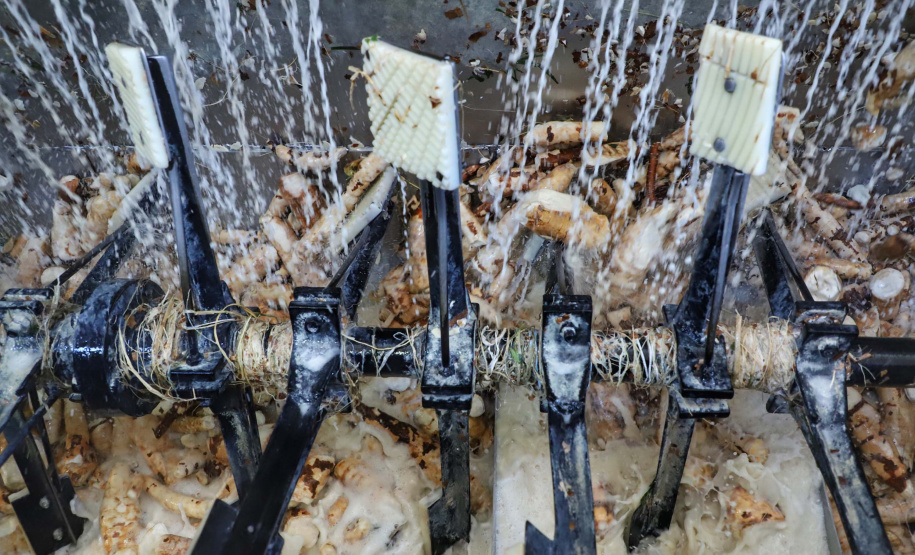 A Amidos Bankhardt, localizada em Paranavaí, existe há 15 anos e produz fécula de mandioca. São 50 funcionários e produção mensal de 1,25 toneladas, sendo que a maior parte é destinada a outras indústrias de transformação. Foto: José Fernando Ogura/AEN