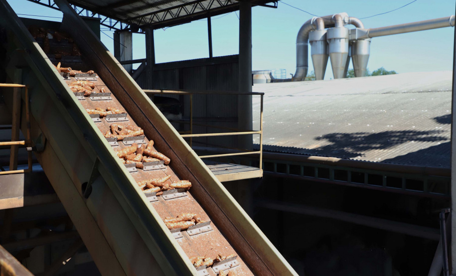 A Amidos Bankhardt, localizada em Paranavaí, existe há 15 anos e produz fécula de mandioca. São 50 funcionários e produção mensal de 1,25 toneladas, sendo que a maior parte é destinada a outras indústrias de transformação. Foto: José Fernando Ogura/AEN