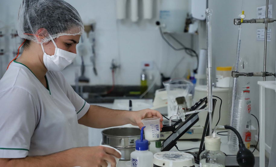 A Amidos Bankhardt, localizada em Paranavaí, existe há 15 anos e produz fécula de mandioca. São 50 funcionários e produção mensal de 1,25 toneladas, sendo que a maior parte é destinada a outras indústrias de transformação. Foto: José Fernando Ogura/AEN