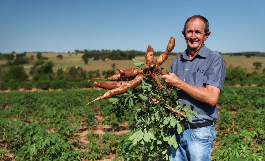 A Amidos Bankhardt, localizada em Paranavaí, existe há 15 anos e produz fécula de mandioca. São 50 funcionários e produção mensal de 1,25 toneladas, sendo que a maior parte é destinada a outras indústrias de transformação. Foto: José Fernando Ogura/AEN