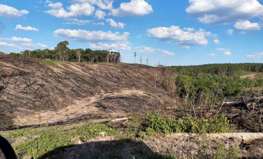 Forças Tarefas resultam em mais de R$5,24 milhões em multas ambientais. Foto:SEDEST