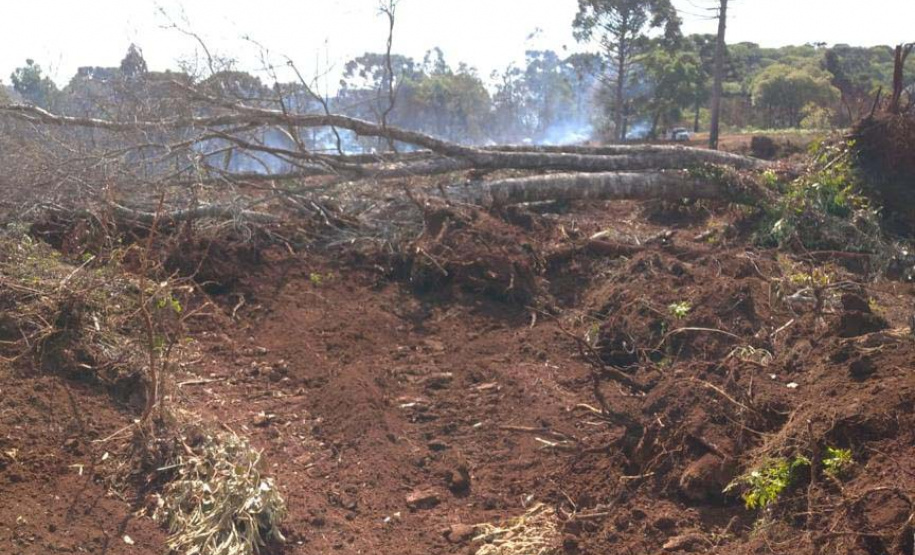 Forças Tarefas resultam em mais de R$5,24 milhões em multas ambientais. Foto:SEDEST