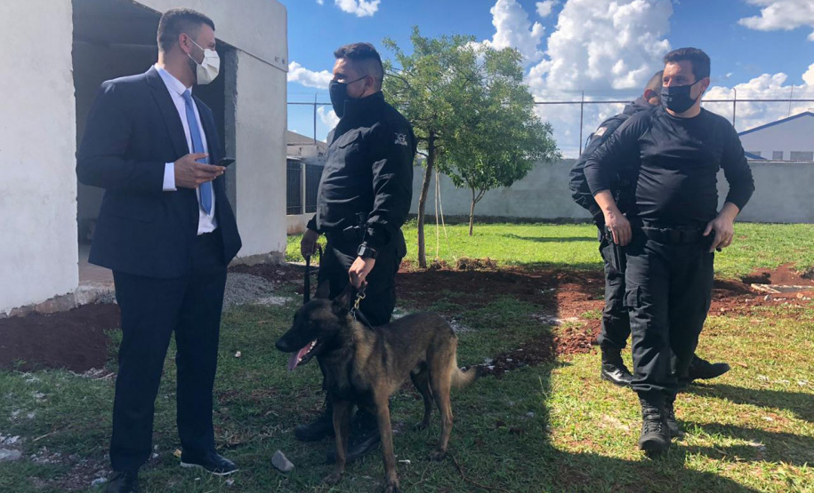 As obras nas unidades penais de Maringá foram concluídas e entregues quarta-feira (09), em solenidade com a presença do secretário estadual da Segurança Pública, Romulo Marinho Soares. Foram investidos R$ 2,2 milhões para revitalização, ampliação e melhorias na Penitenciária Estadual de Maringá, na Colônia Penal e Industrial e na Casa de Custódia – todas concentradas em um único endereço.
Foto: SESP