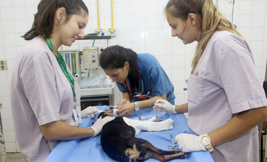 Cursos das Universidades Estaduais se destacam em avaliação do MEC
. Foto: Jaelson Lucas/Arquivo AEN