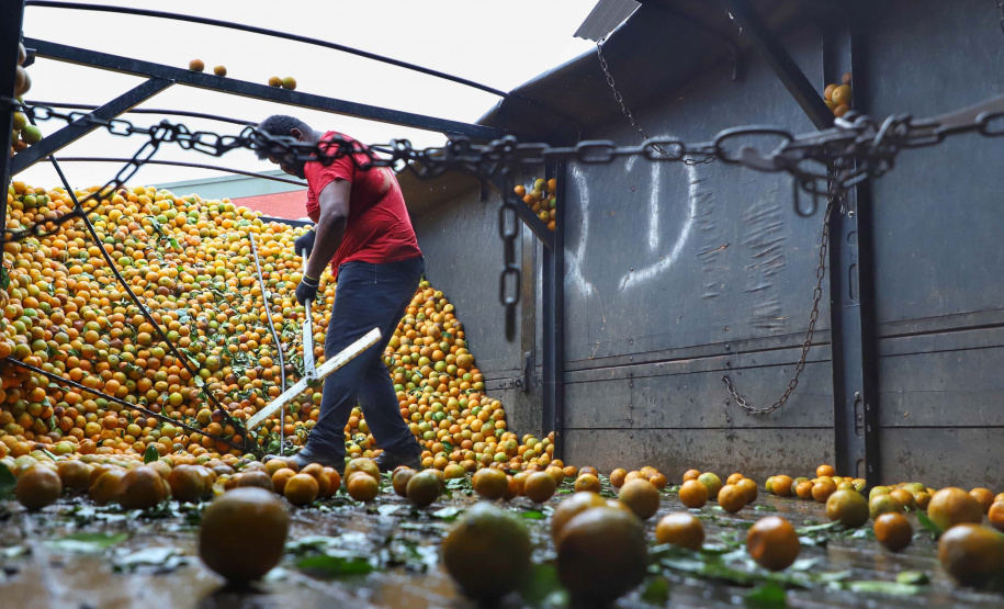 Há cerca de cinco anos a Garoto entrou no mercado de sucos naturais e tem visto os negócios prosperarem. Hoje, o suco Viva Feliz é encontrado nas gôndolas de todo o Sul, Sudeste e parte do Centro-Oeste do Brasil.