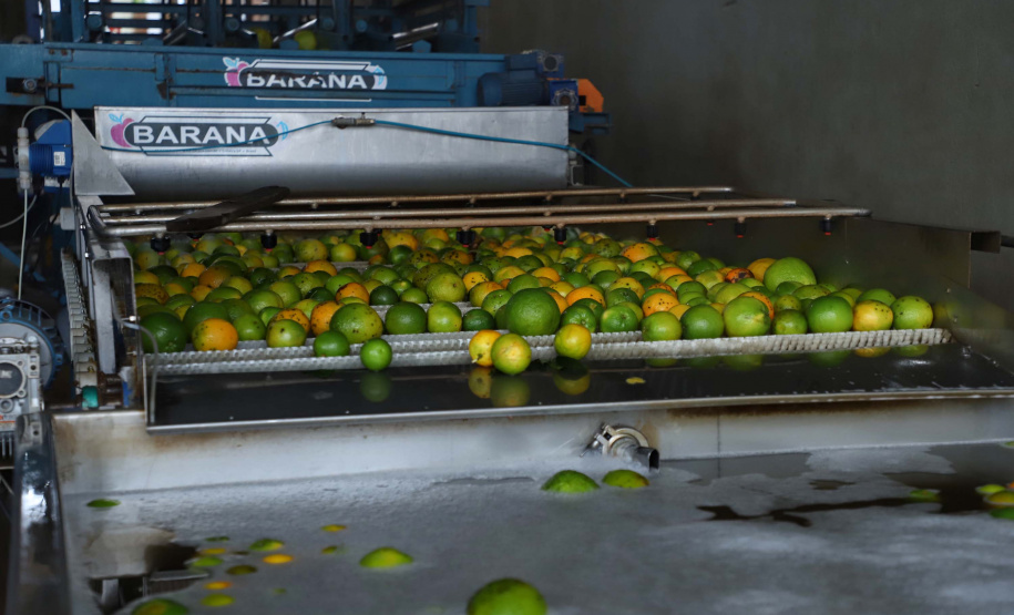 Há cerca de cinco anos a Garoto entrou no mercado de sucos naturais e tem visto os negócios prosperarem. Hoje, o suco Viva Feliz é encontrado nas gôndolas de todo o Sul, Sudeste e parte do Centro-Oeste do Brasil.