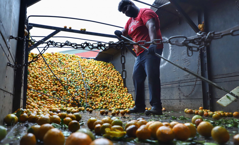 Há cerca de cinco anos a Garoto entrou no mercado de sucos naturais e tem visto os negócios prosperarem. Hoje, o suco Viva Feliz é encontrado nas gôndolas de todo o Sul, Sudeste e parte do Centro-Oeste do Brasil.
