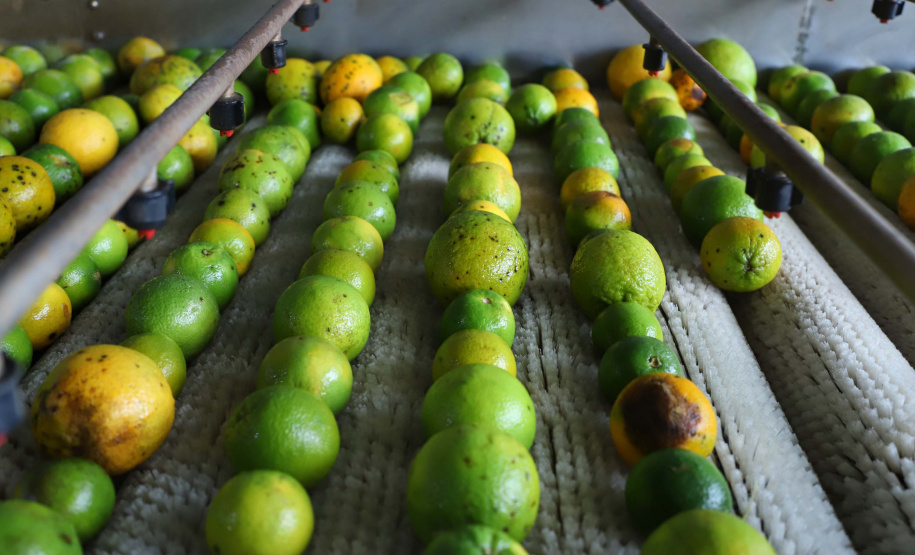 Há cerca de cinco anos a Garoto entrou no mercado de sucos naturais e tem visto os negócios prosperarem. Hoje, o suco Viva Feliz é encontrado nas gôndolas de todo o Sul, Sudeste e parte do Centro-Oeste do Brasil.